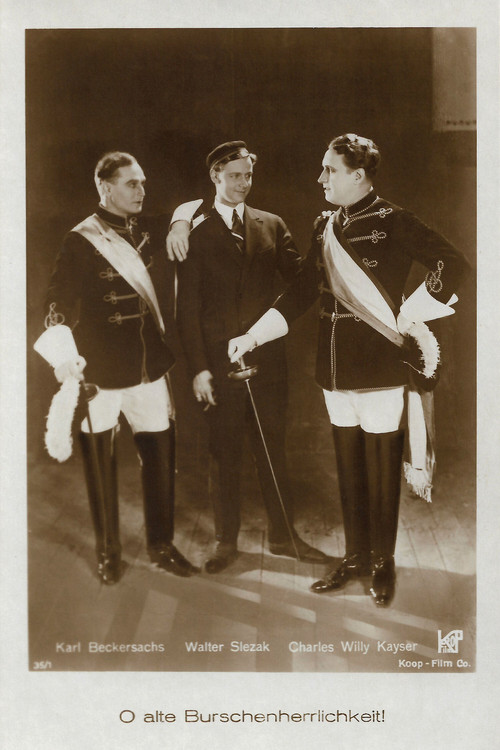 Movie poster for O alte Burschenherrlichkeit (1925)