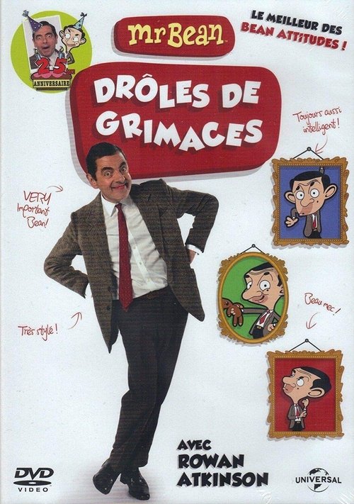 Movie poster for Mr Bean Funny Faces (2015)