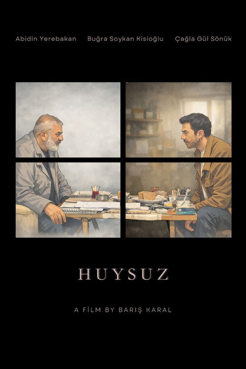 Movie poster for Huysuz