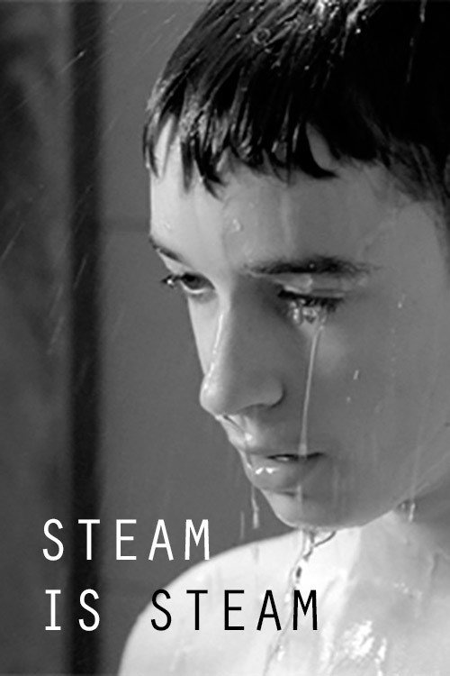 Movie poster for Steam is Steam (2011)