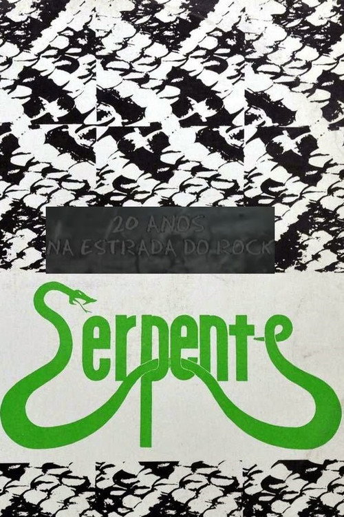 Movie poster for 20 Anos na Estrada do Rock (2005)