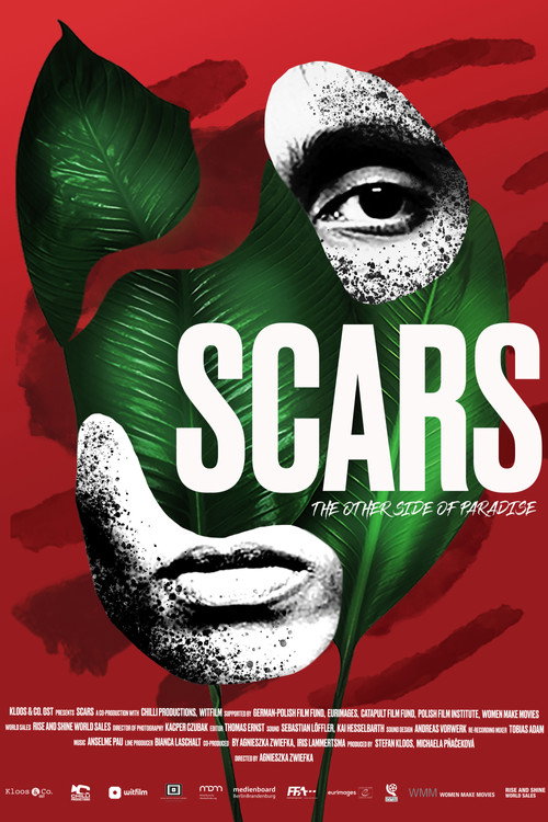 Movie poster for Scars (2020)