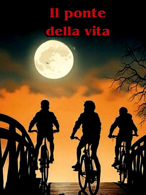 Movie poster for Il ponte della vita