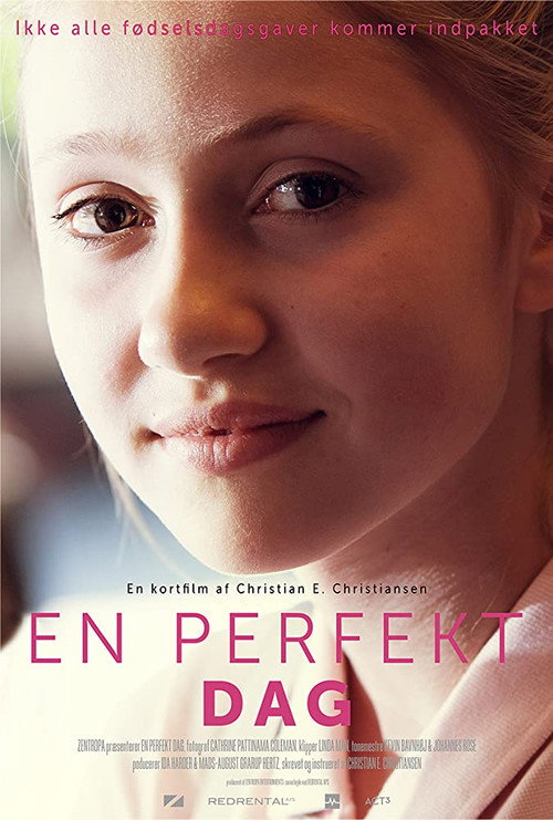 Movie poster for En perfekt dag (2017)