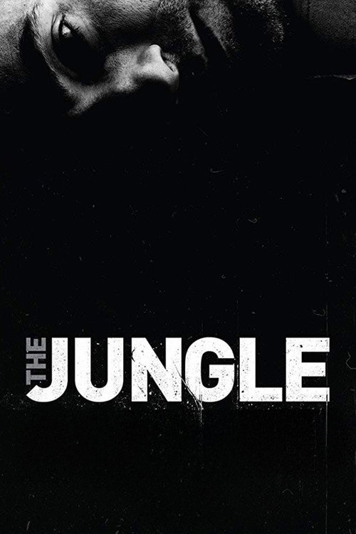 Movie poster for The Jungle (2015)