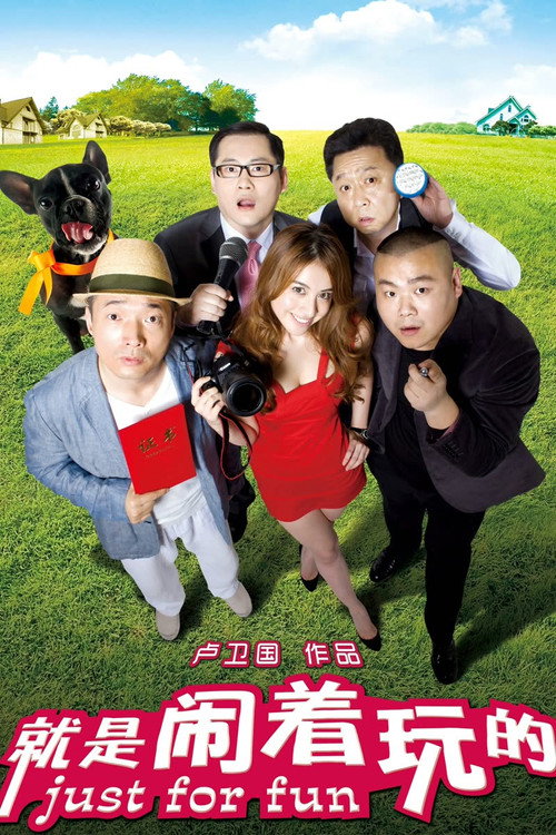 Movie poster for Just for Fun (2012)