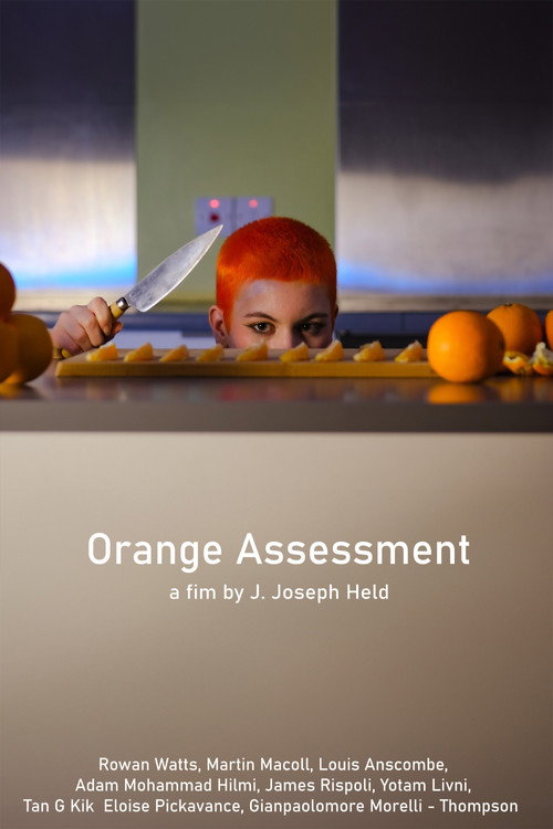 Movie poster for Orange Assessment