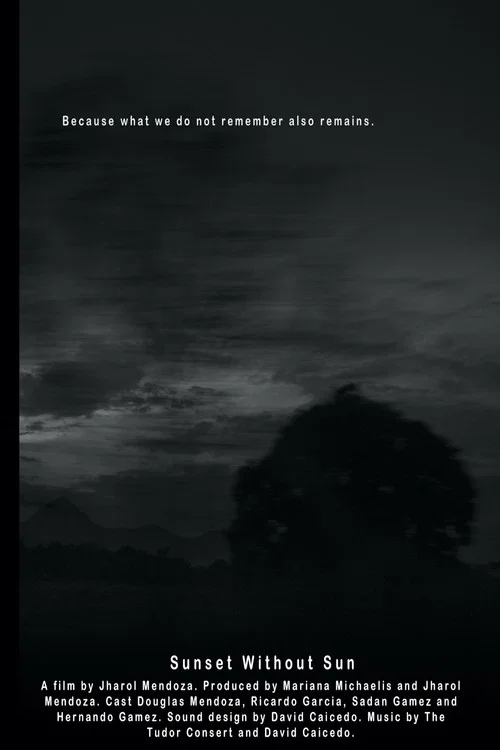 Movie poster for Sunset without sun (2021)