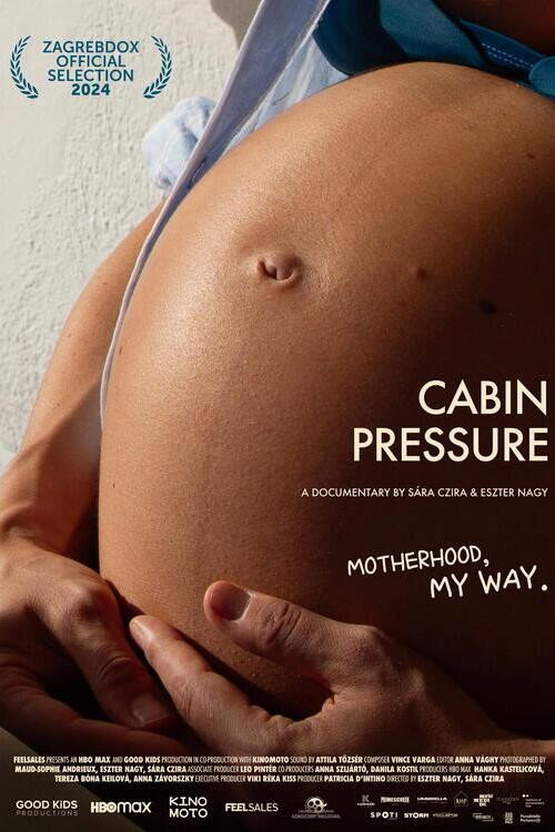 Movie poster for Cabin Pressure (2024)