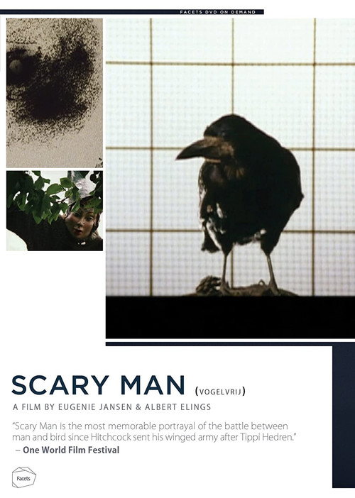 Movie poster for Scary Man