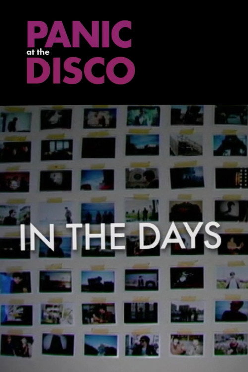 Movie poster for Panic! at the Disco: In the Days (2008)