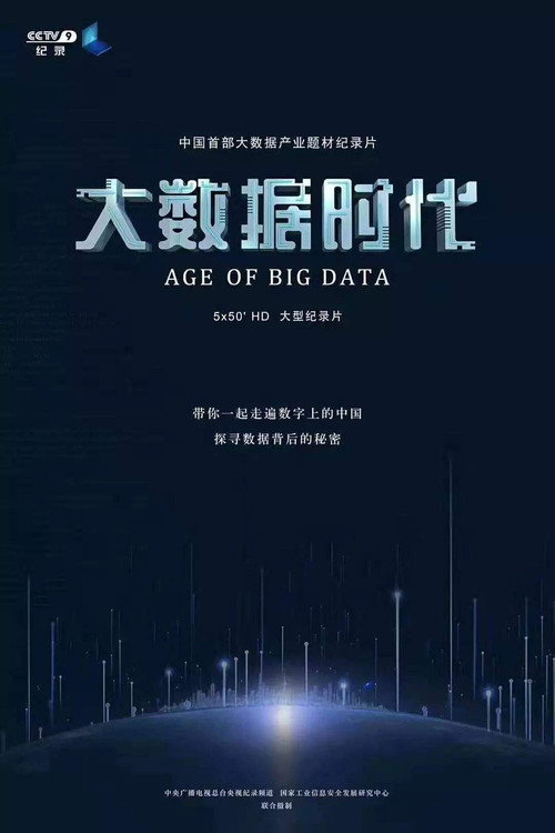 Series poster for 大数据时代 (2019)
