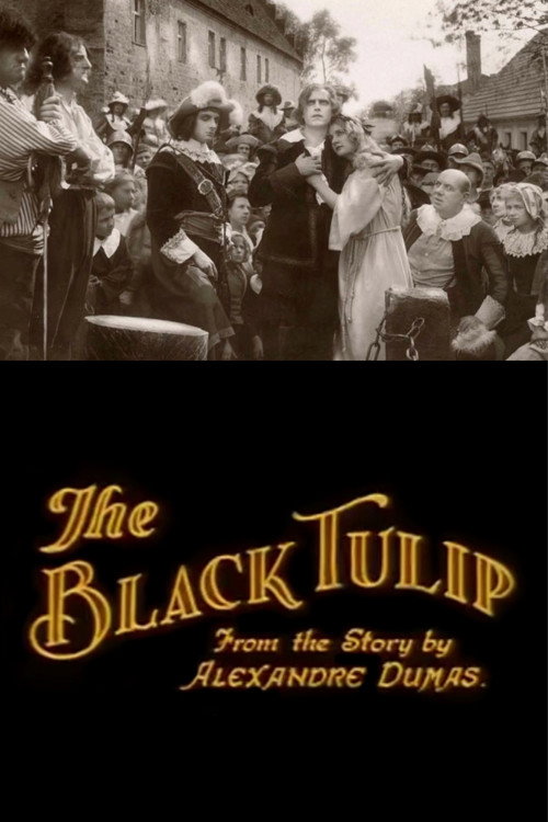 Movie poster for The Black Tulip (1921)