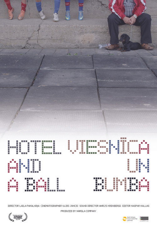 Movie poster for Hotel and a Ball (2014)