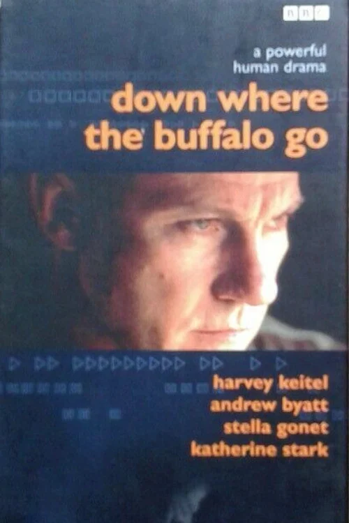 Movie poster for Down Where the Buffalo Go (1988)