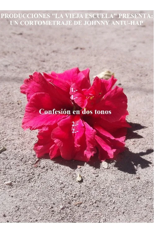 Movie poster for Confesión en dos tonos (2020)