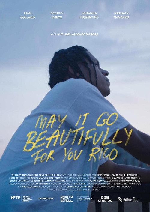 Movie poster for May It Go Beautifully for You, Rico (2024)