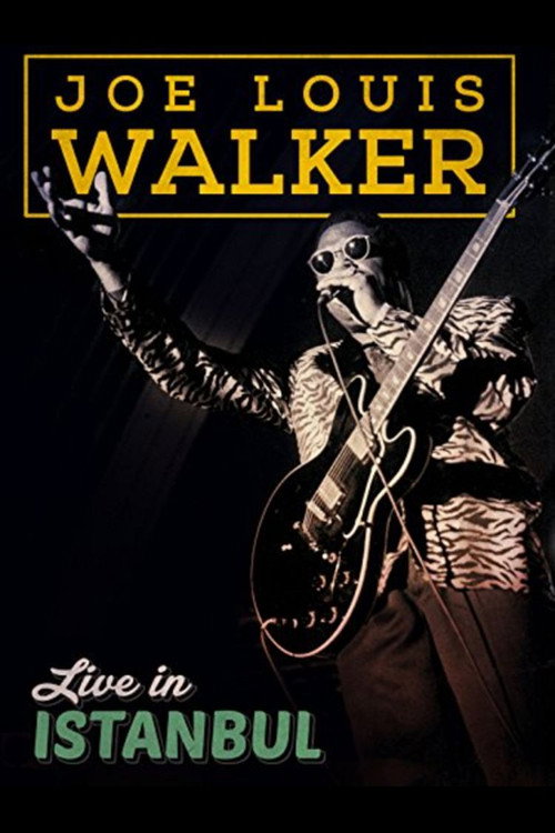 Movie poster for Joe Louis Walker: Live In Istanbul