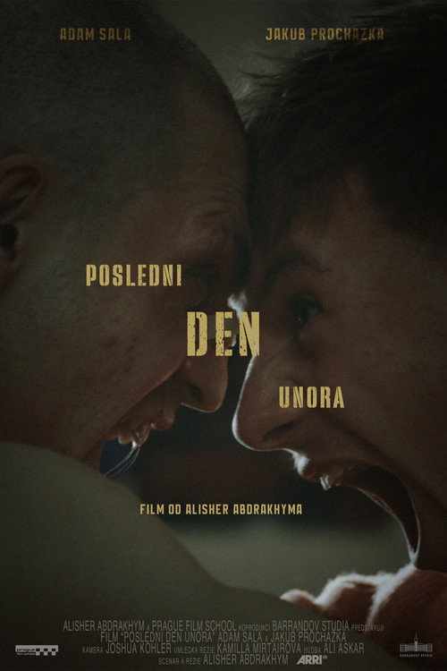 Movie poster for The Last Day of February