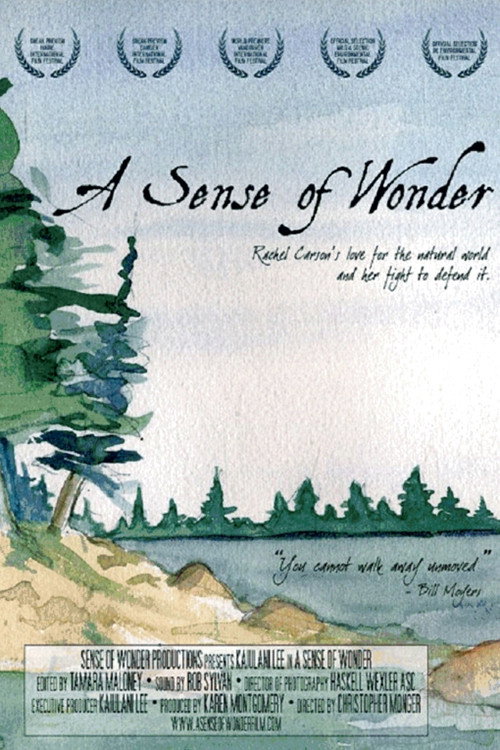 Movie poster for A Sense of Wonder (2008)