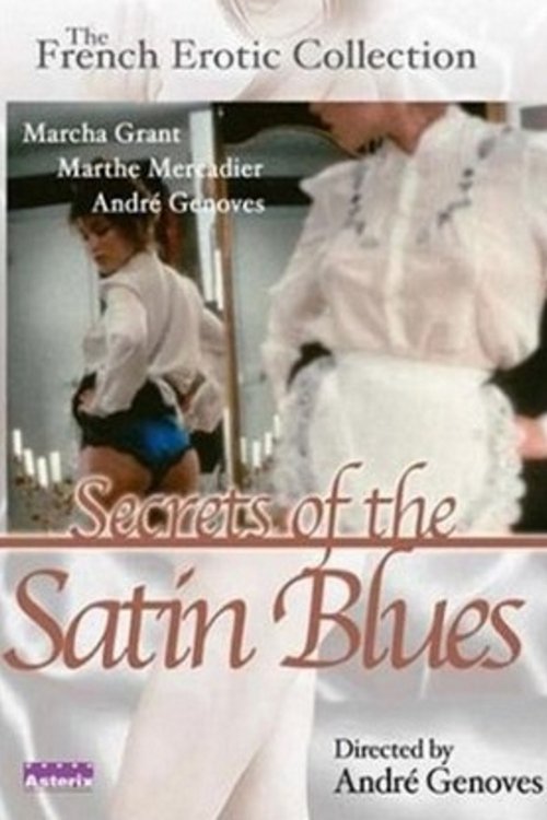 Movie poster for Secrets of the Satin Blues (1981)