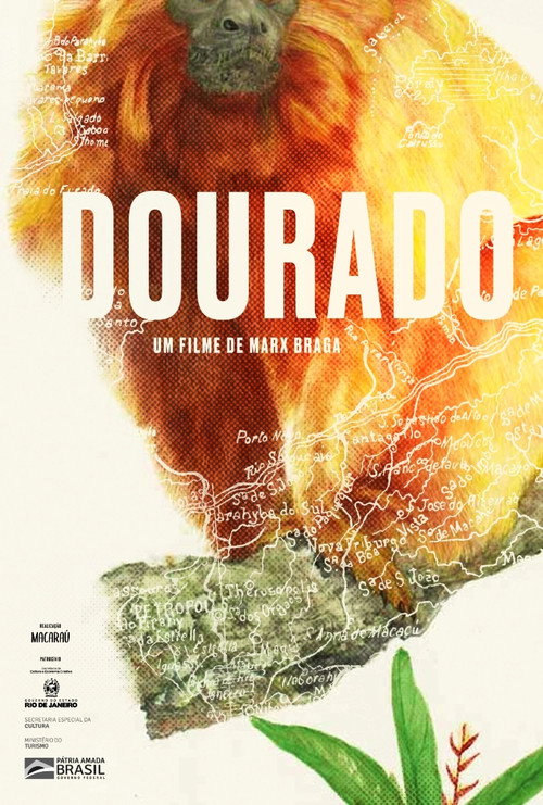Movie poster for Dourado (2022)
