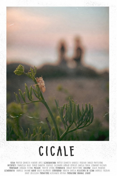 Movie poster for CICALE (2023)