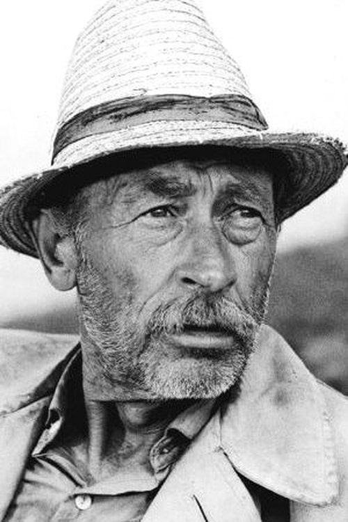 László Bánhidy profile