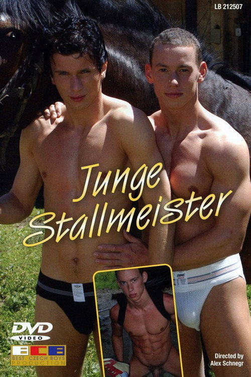 Movie poster for Junge Stallmeister (2005)