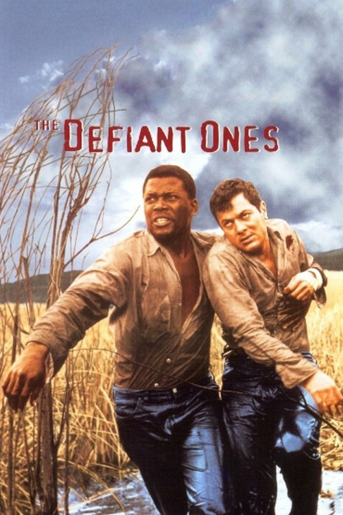 Movie poster for The Defiant Ones (1958)