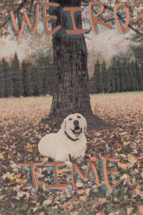 Movie poster for Weird Time (2025)