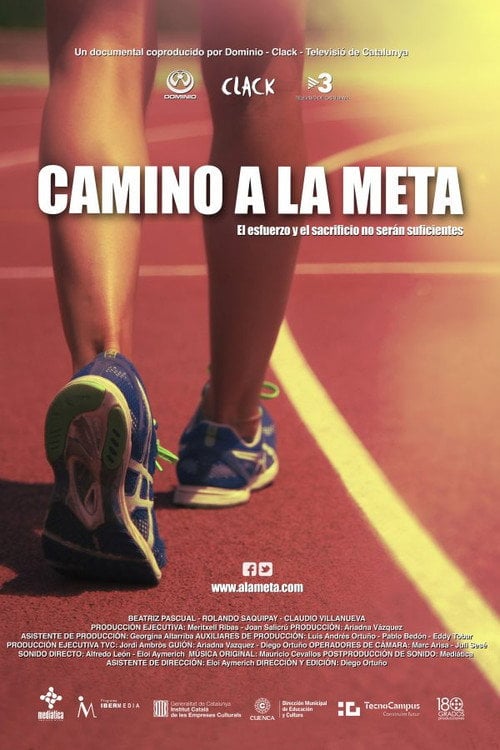 Movie poster for Camino a la meta (2013)
