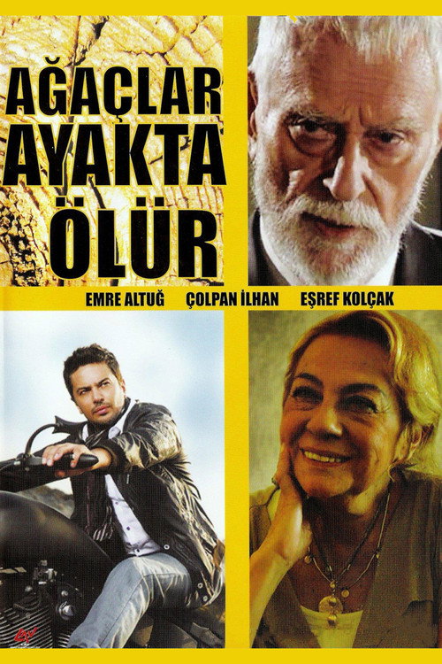 Movie poster for Ağaçlar Ayakta Ölür (2000)