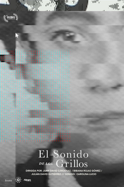 Movie poster for The Sound of Crickets (2022)