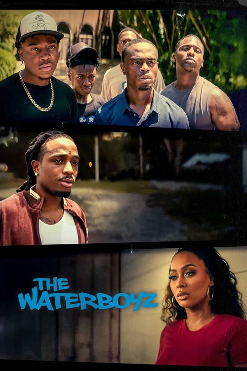 Movie poster for The Waterboyz (2024)
