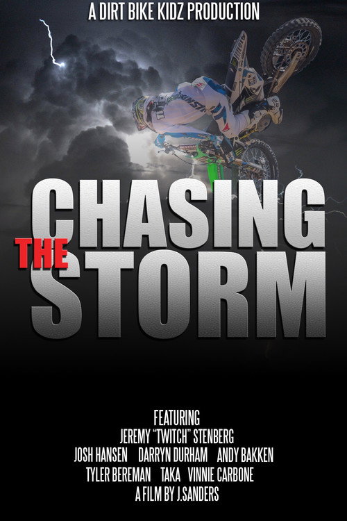 Movie poster for Chasing The Storm (2014)