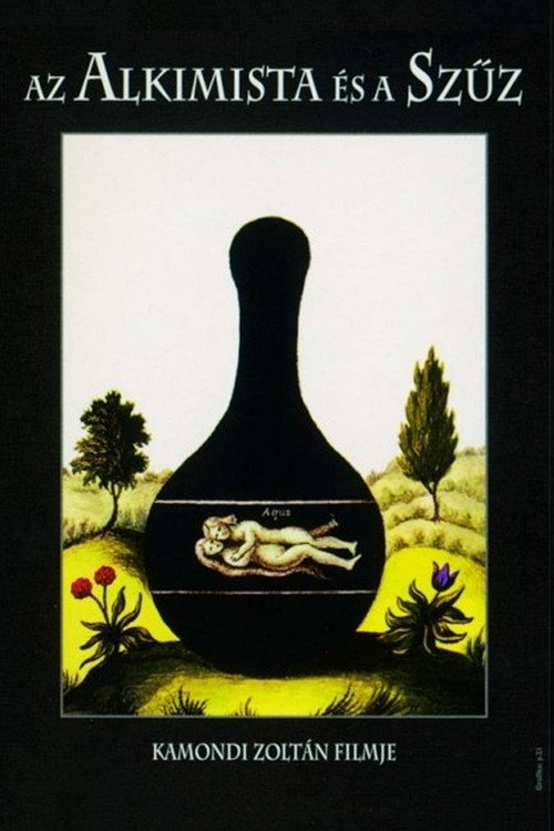 Movie poster for The Alchemist and the Virgin (1998)