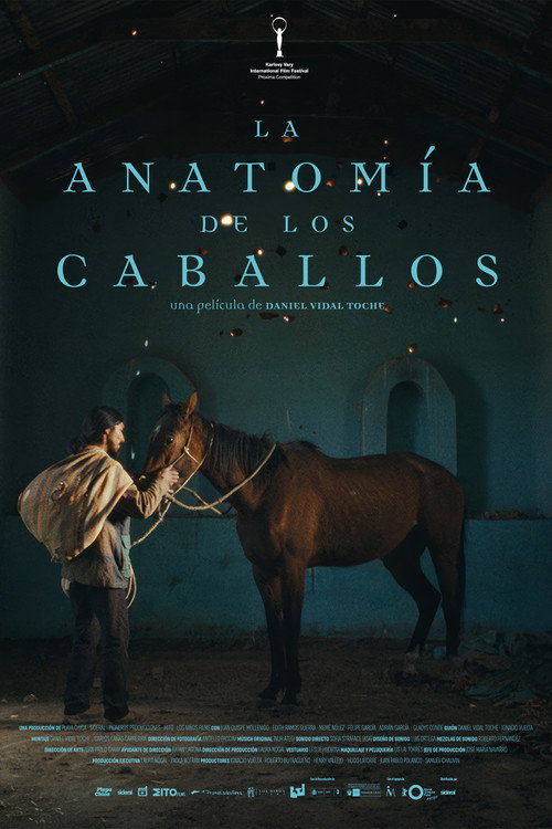 Movie poster for The Anatomy of the Horses (2025)
