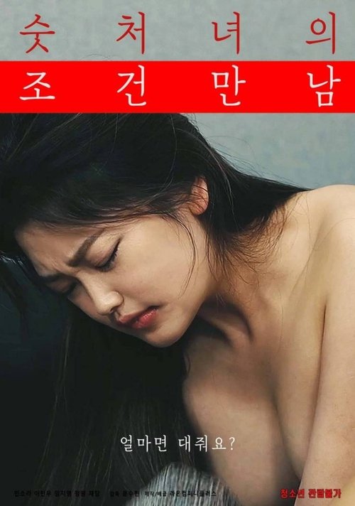 Movie poster for Meeting Conditions of a Virgin (2022)