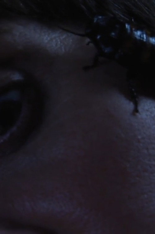 Movie poster for Bug Complex (2012)