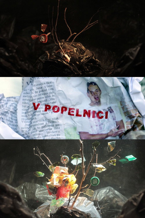 Movie poster for In a Dumpster (2018)