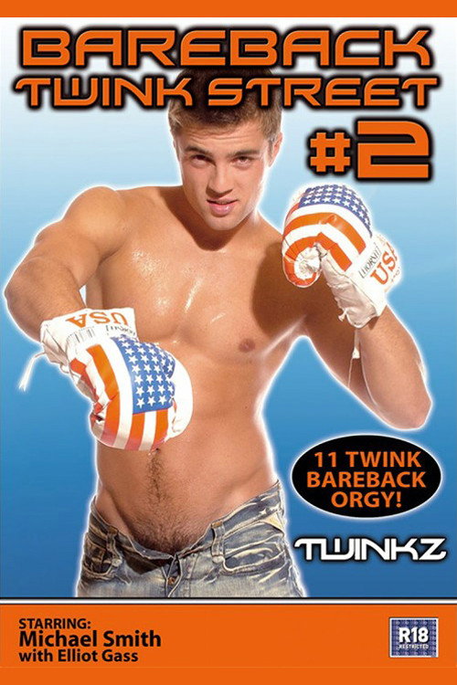 Movie poster for Bareback Twink Street 2 (2005)