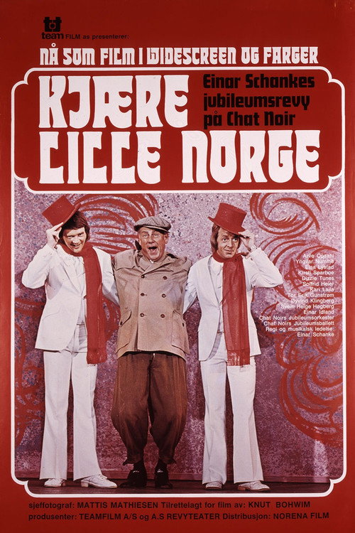 Movie poster for Dear Little Norway (1973)