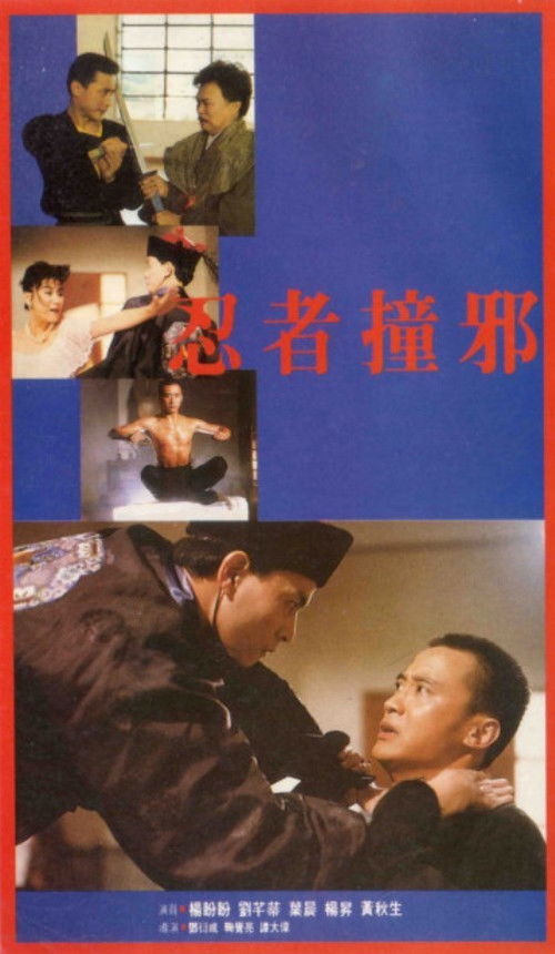 Movie poster for Ninja Evil Strike (1989)