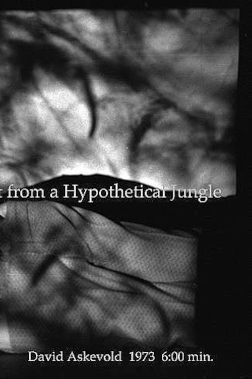 Movie poster for My Recall of an Imprint from a Hypothetical Jungle (1973)