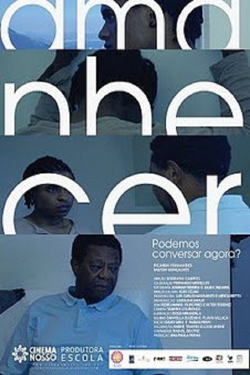 Movie poster for Amanhecer (2010)
