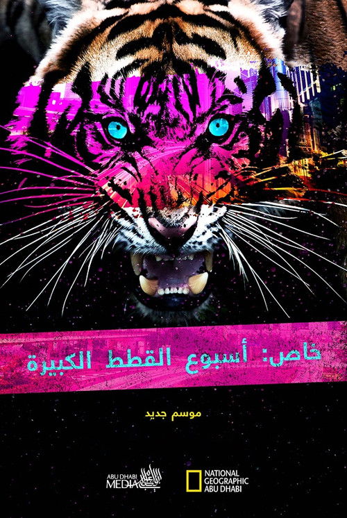 Big Cat Week Collection poster