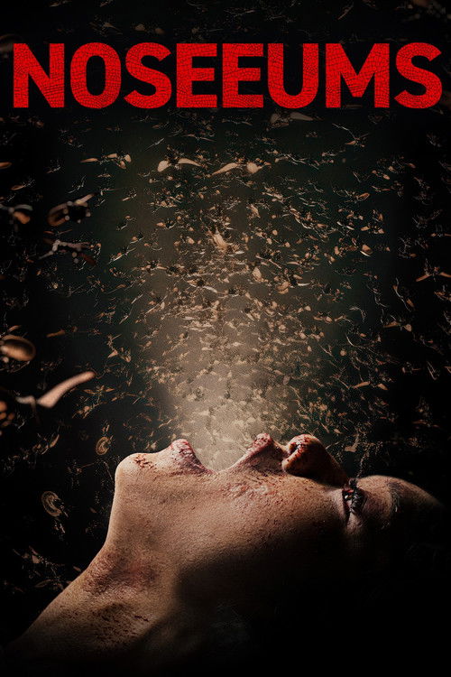 Movie poster for Noseeums (2025)
