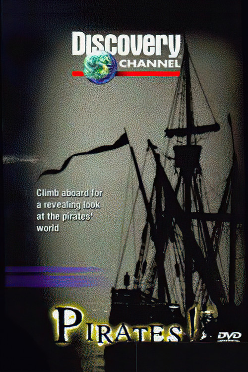 Movie poster for Pirates (1998)