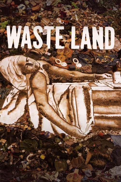 Movie poster for Waste Land (2010)